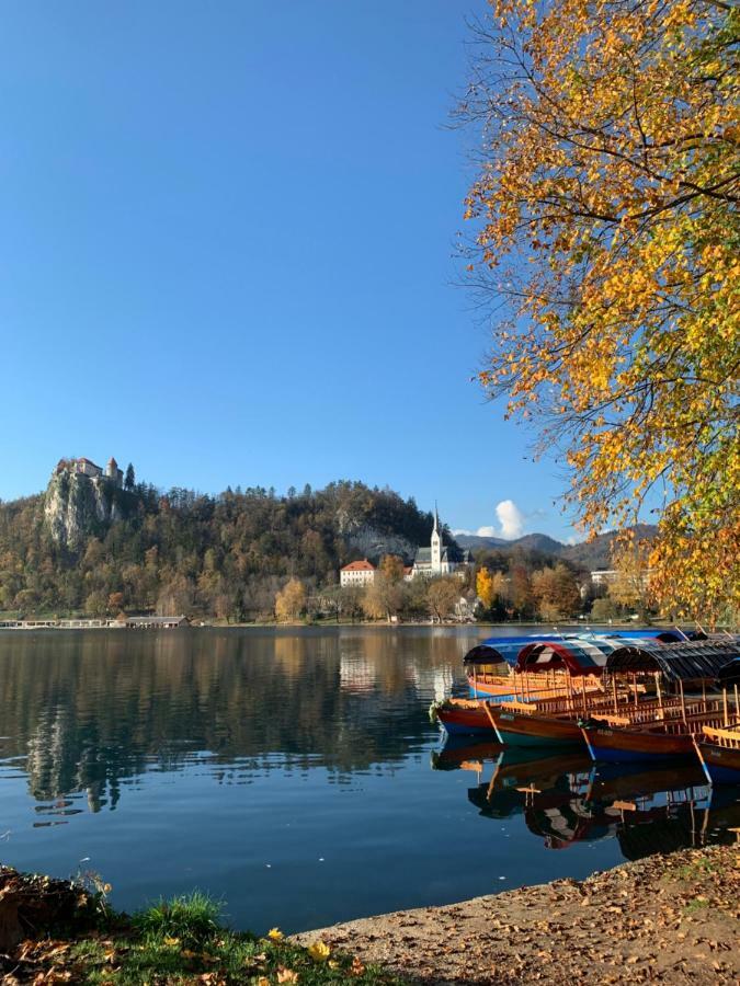 Apartment Center Bled Eksteriør billede